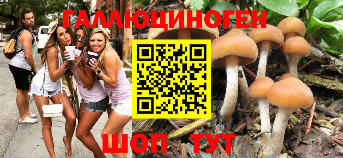 Туймазы  где купить наркоту  Вход с VPN  Галлюциногенные грибы MAGIC MUSHROOMS 